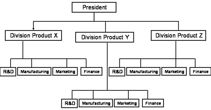 functional organizational structure screen