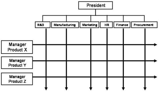 Organization Structure3.jpg
